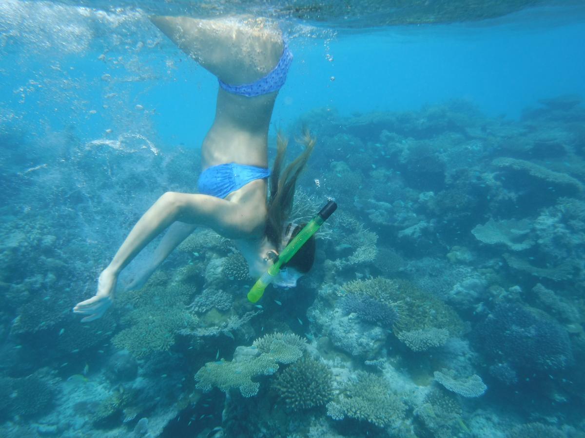 Surf Trip Maldives Hotell Thulusdhoo Eksteriør bilde